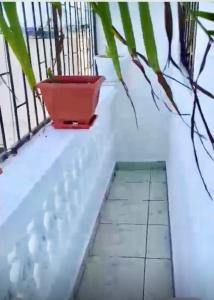 Softlife Home, One Bedroom MSA