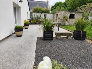 Les Agapanthes