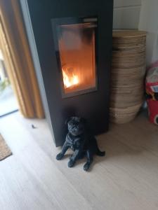 Chalet Chalazy