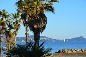 Studio climatisé avec piscine et parking privé