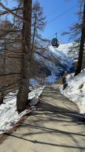 Mountain Bliss Duplex - Saas Fee