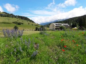 Appartements Duplex 59m2 - proche centre - balcon plein sud : photos des chambres