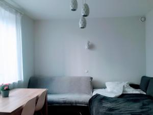 Apartment Krakow - blisko Centrum - Podgórze, kuchnia, łazienka, sypialnia z dwoma łóżkami
