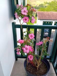 Appartements Gite Saint-Jean-pied-de-Port Chez PASCALINE : photos des chambres