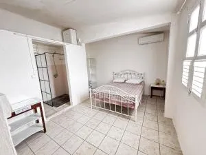 Sea view accommodation - Case-Pilote