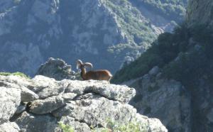 A due passi dal mare - Casa Vacanze img7