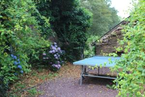 Maisons de vacances Gite de Barenton en foret de Broceliande 12 couchages bain nordique : photos des chambres