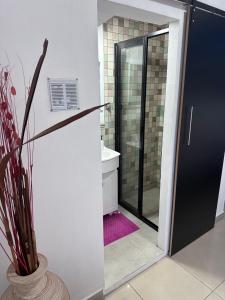 Depto céntrico matrimonial