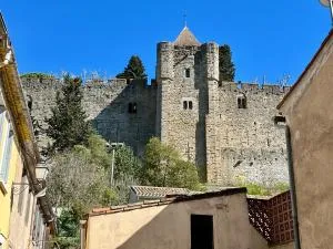 Chez Jean - vue directe Cité, Cité à 200m, clim, parking public gratuit à 200m, WIFI - Direct view Cité, 200m to Cité, Aircon, free public car park 200m, WIFI - 卡尔卡松