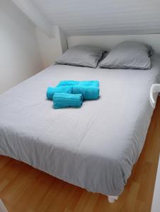 Appartements Charmant appartement Saint-Malo : photos des chambres