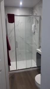 SHEFFIELD ARENA APPARTMENT s9