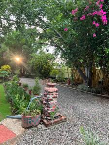 Rudraksh Farmhouse Kotabagh - entire farm