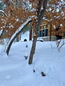 Storybook Cabin in the Santa Fe Forest