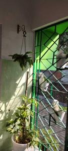 HURGEN Stay & Backpacker Hostel