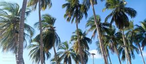 Reservas La Bonanza SAS Huasipungo primera línea