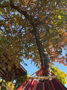 Rudraksh Farmhouse Kotabagh - entire farm