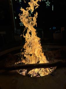 Rudraksh Farmhouse Kotabagh - entire farm