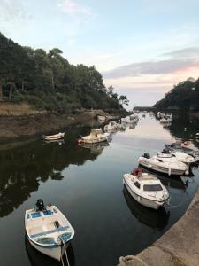 MOBIL HOME 4 personnes, entre rivière et mer