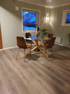 Nice apartment in the middle of the Lyngen Alps!