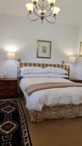 Tree Cottage Waterkloof - Carnarvon