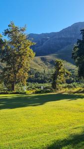 Tree Cottage Waterkloof