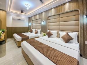 Delhi Delight Premium