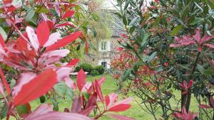 Maisons de vacances Charming house in Perigord Vert : photos des chambres