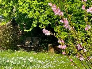 艺术爱好者之家住宿加早餐旅馆 - 施塔特基尔