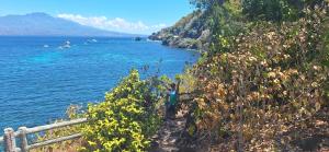 Villa Rosita - Apo Island