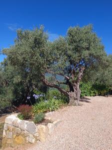 Maisons de vacances L-Aloha Gite de charme au coeur de Fayence avec Vue Panoramique : photos des chambres