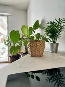 T2 - Cité des congrès - 5 à pied de la gare - Parking