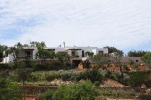 Double or Twin Room with Pool View room in La Pitiusa Agroturismo