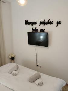 Apartman Savic