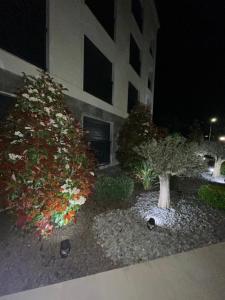 Next door One & Only Portonovi