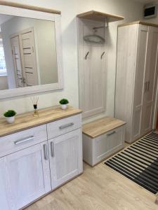 Vieno kambario butas