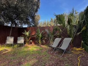 Petite maison entre mer et forêt en pleine nature
