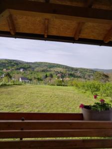 Vikendica Bambi - Vrdnik