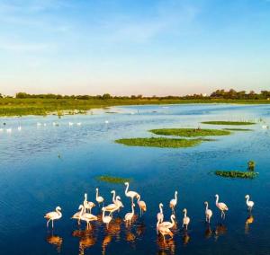 El Trovador Alquileres Temporarios Zona Norte