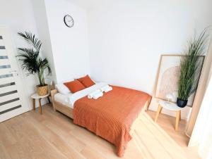 Modern 2-rm apt with Red Light Therapy panel