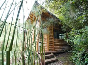 Cabaña Silencio en Casa Ilusión