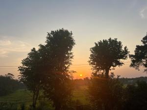 Bungalow Resort - Sigiriya