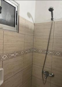 Casa Color