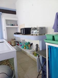 Tziimin Nahil Cozumel