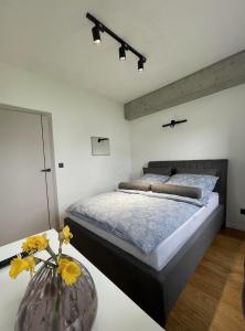 NS Żeromskiego apartament 6 - Luksus w centrum miasta