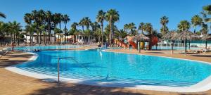 Central Corralejo with Terrace & Palm Trees 25mb wifi