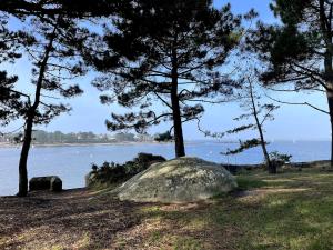 La petite maison du Large- Cœur de ville