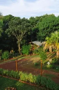 Canto de Pájaros - Wanda