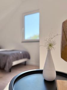 TOP! Neu saniertes Apartment "Anton", direkt am Ruhrtalradweg in Arnsberg - Neheim