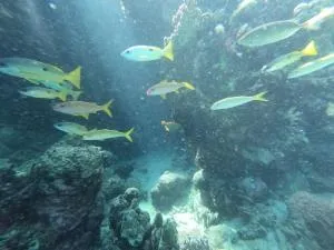 Desert & Sea Haven Marsa Alam - Marsa Alam