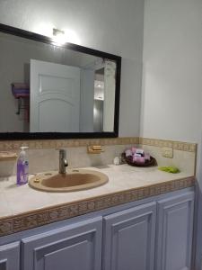 Purple Lotus Cozumel